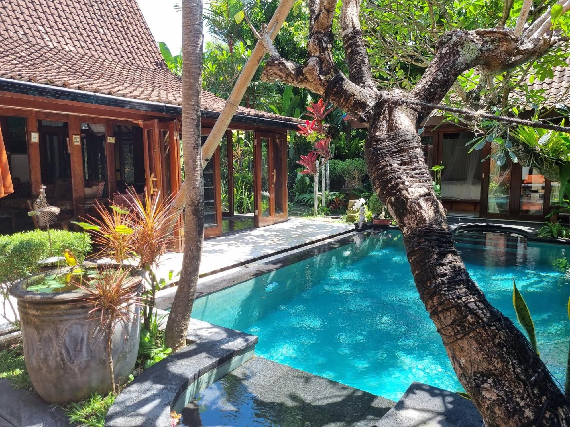 Villa Eva Canggu Dış mekan fotoğraf