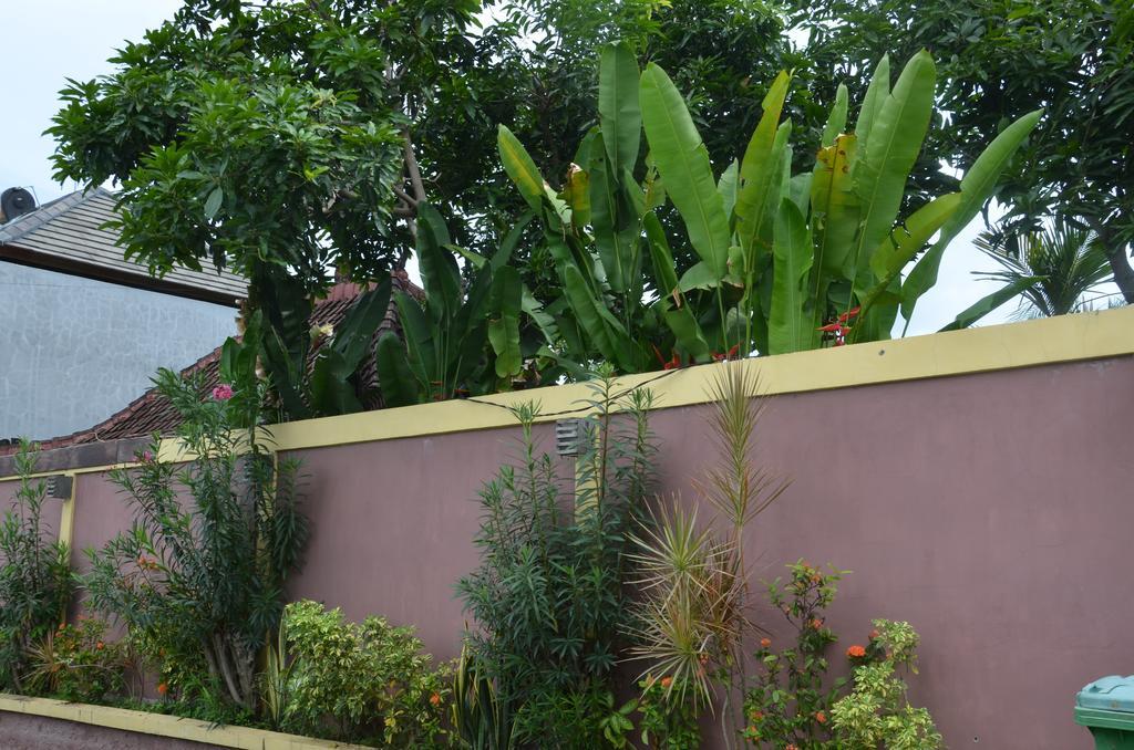 Villa Eva Canggu Dış mekan fotoğraf