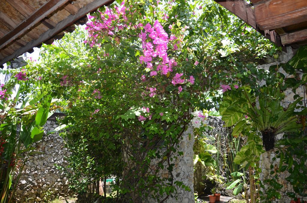 Villa Eva Canggu Dış mekan fotoğraf
